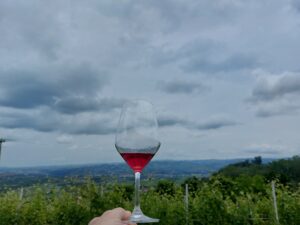 I migliori assaggi di Verduno Pelaverga, ottimo vino rosso estivo